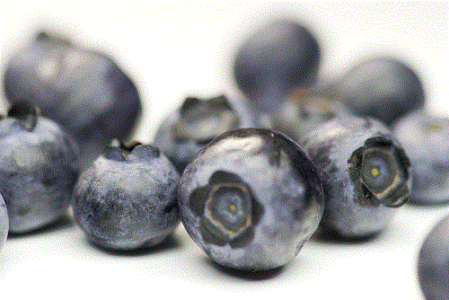 blaubeeren_02zmniej333