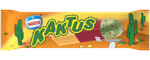 Kaktus Kaktus
