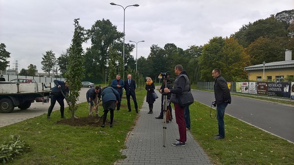 Pracownicy WINIARY zasadzili nowe drzewa w Kaliszu_s