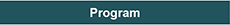 program