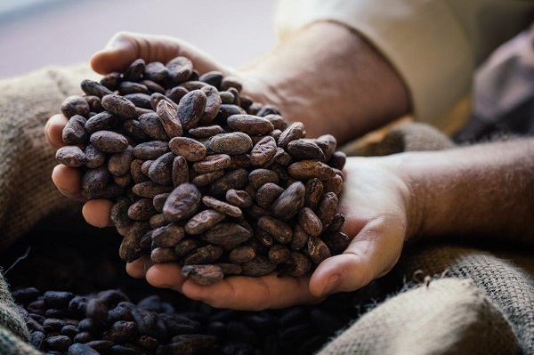 Chocolate Cocoa Beans 001[2]