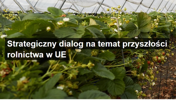 Bez tytułu Bez tytułu